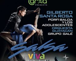 SALSA VIVA GUAYAQUIL