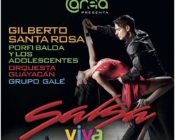SALSA VIVA QUITO